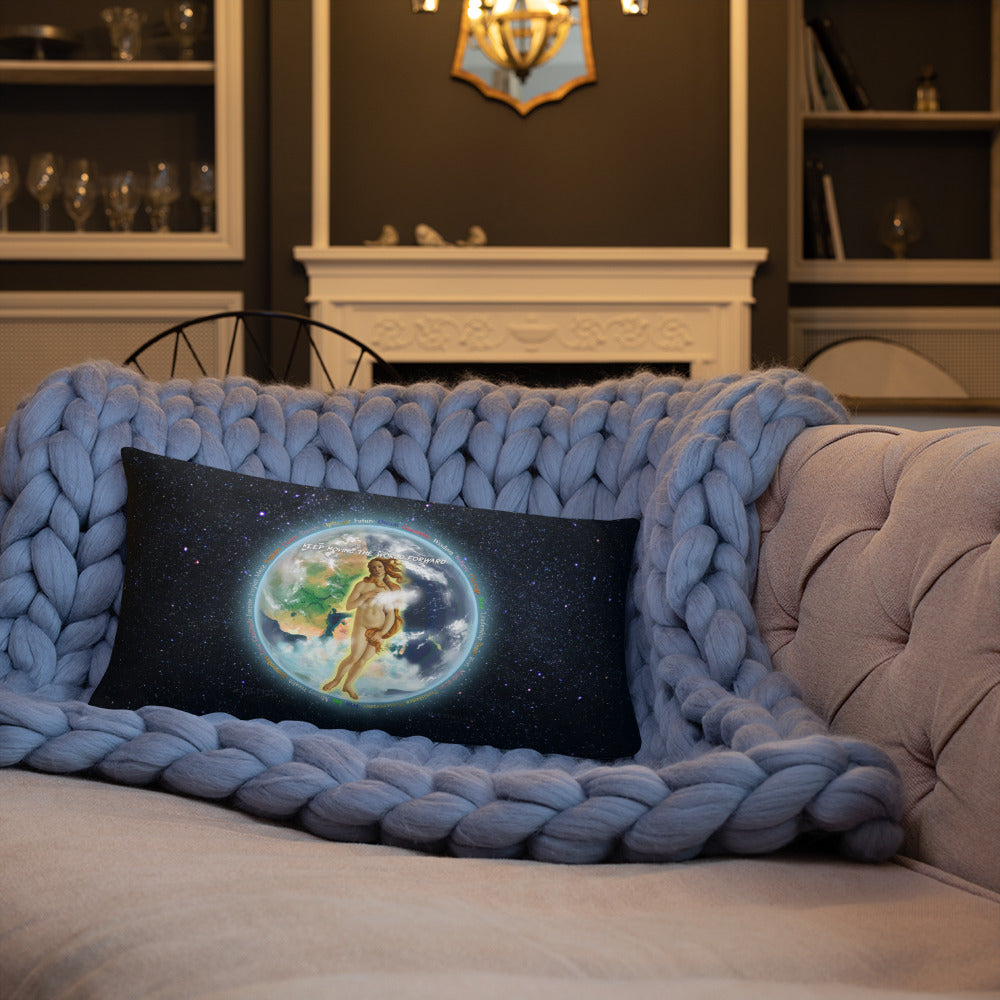 V&V Earths Combined on Basic Pillow