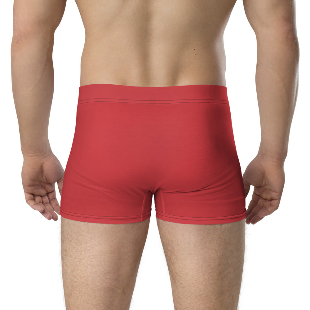 Walk With A Purpose Haiku With Dragonfly on Men's Boxer Briefs