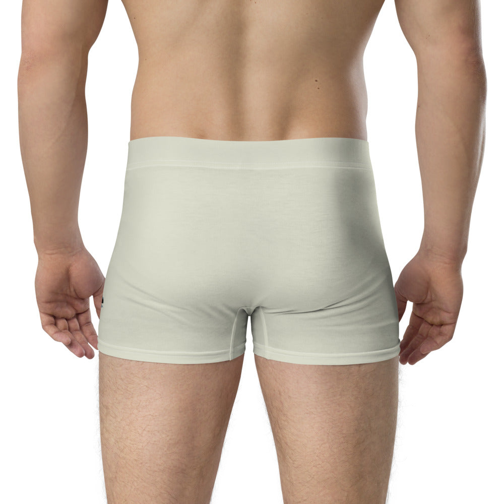 Future Is Bright Haiku With Mountain Sun on Men's Boxer Briefs