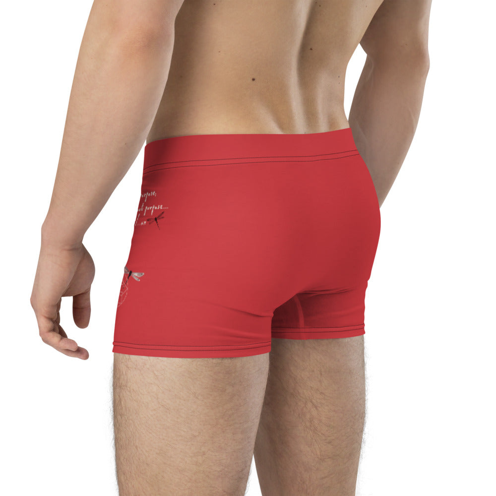 Walk With A Purpose Haiku With Dragonfly on Men's Boxer Briefs