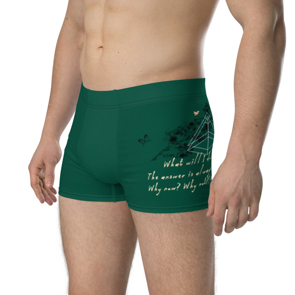 Always Win Now Haiku With Butterfly on Men's Boxer Briefs