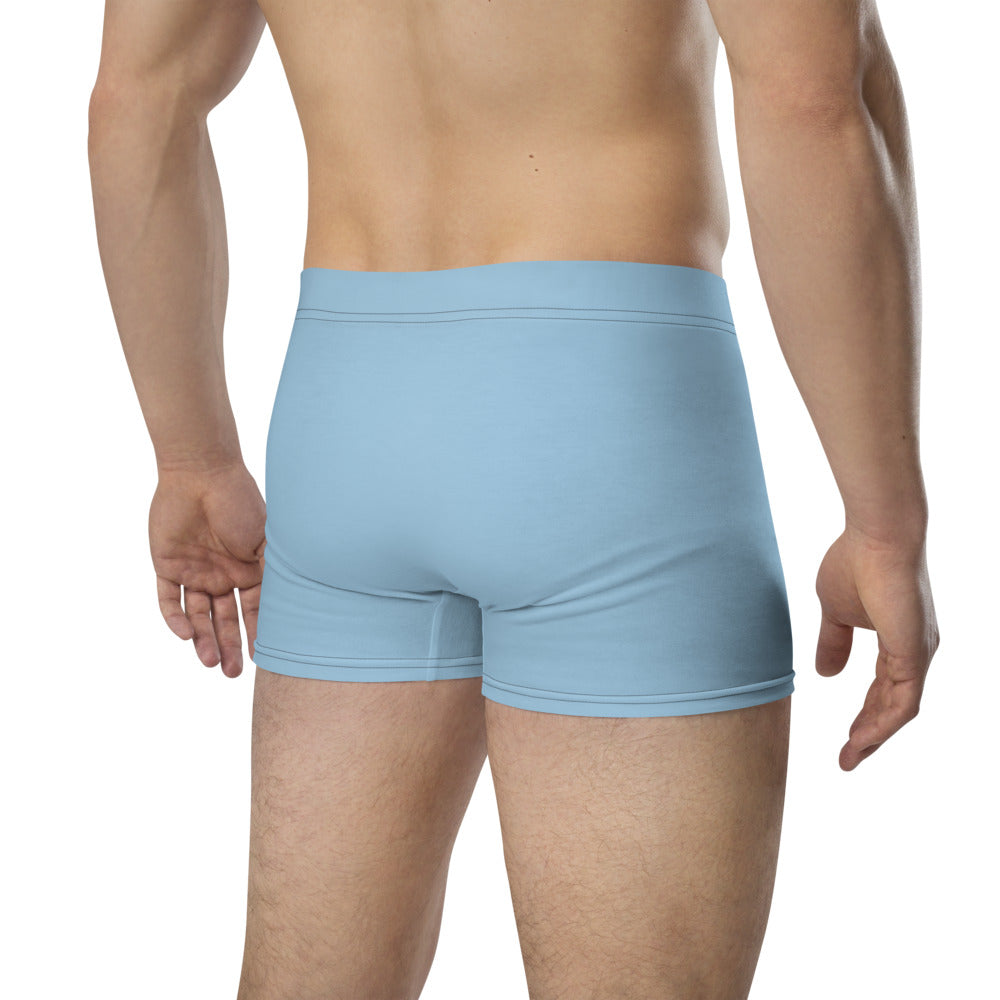 Remember Your Heritage Haiku With Trees on Men's Boxer Briefs