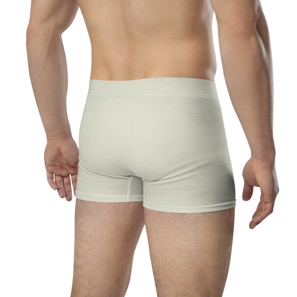 Future Is Bright Haiku With Mountain Sun on Men's Boxer Briefs