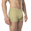 Matsuo Basho Haiku With Bonsai on Men's Boxer Briefs