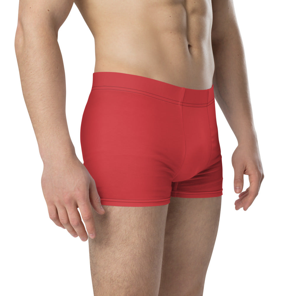 Walk With A Purpose Haiku With Dragonfly on Men's Boxer Briefs