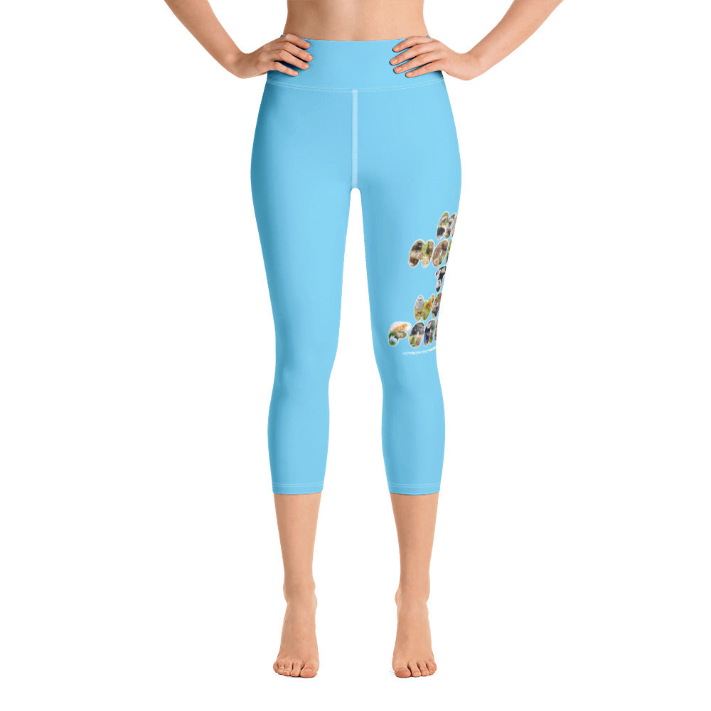 Baby Animals Keep Moving The World Forward In Blue on Capri Yoga Pants