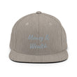 Money & Wealth In Silver Embroidery on Classic Snapback Hat