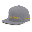 Persistence In Gold Embroidery on Classic Snapback Hat