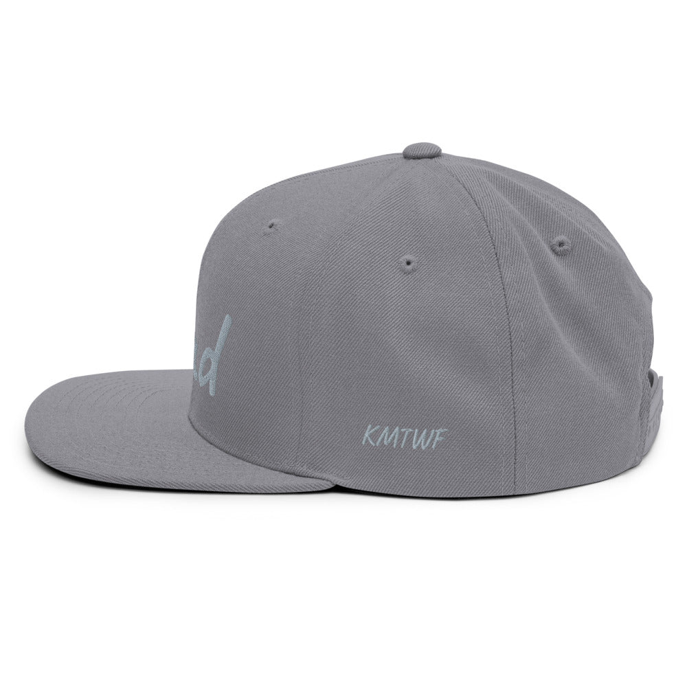 Lead In Silver Embroidery on Classic Snapback Hat