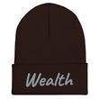 Wealth In Silver Embroidery on Cuffed Beanie