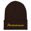 Perseverance In Gold Embroidery on Cuffed Beanie