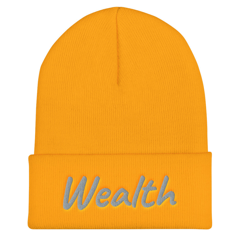 Wealth In Silver Embroidery on Cuffed Beanie