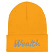 Wealth In Silver Embroidery on Cuffed Beanie