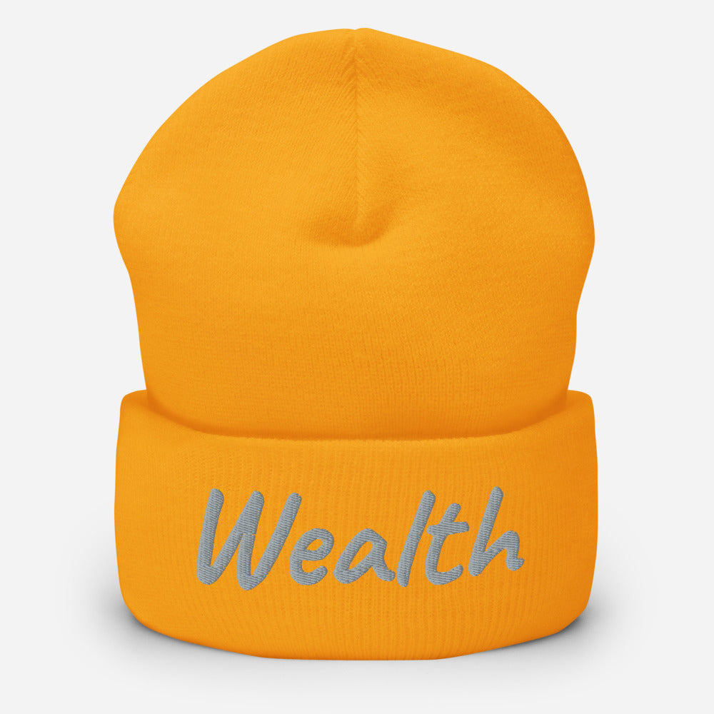 Wealth In Silver Embroidery on Cuffed Beanie