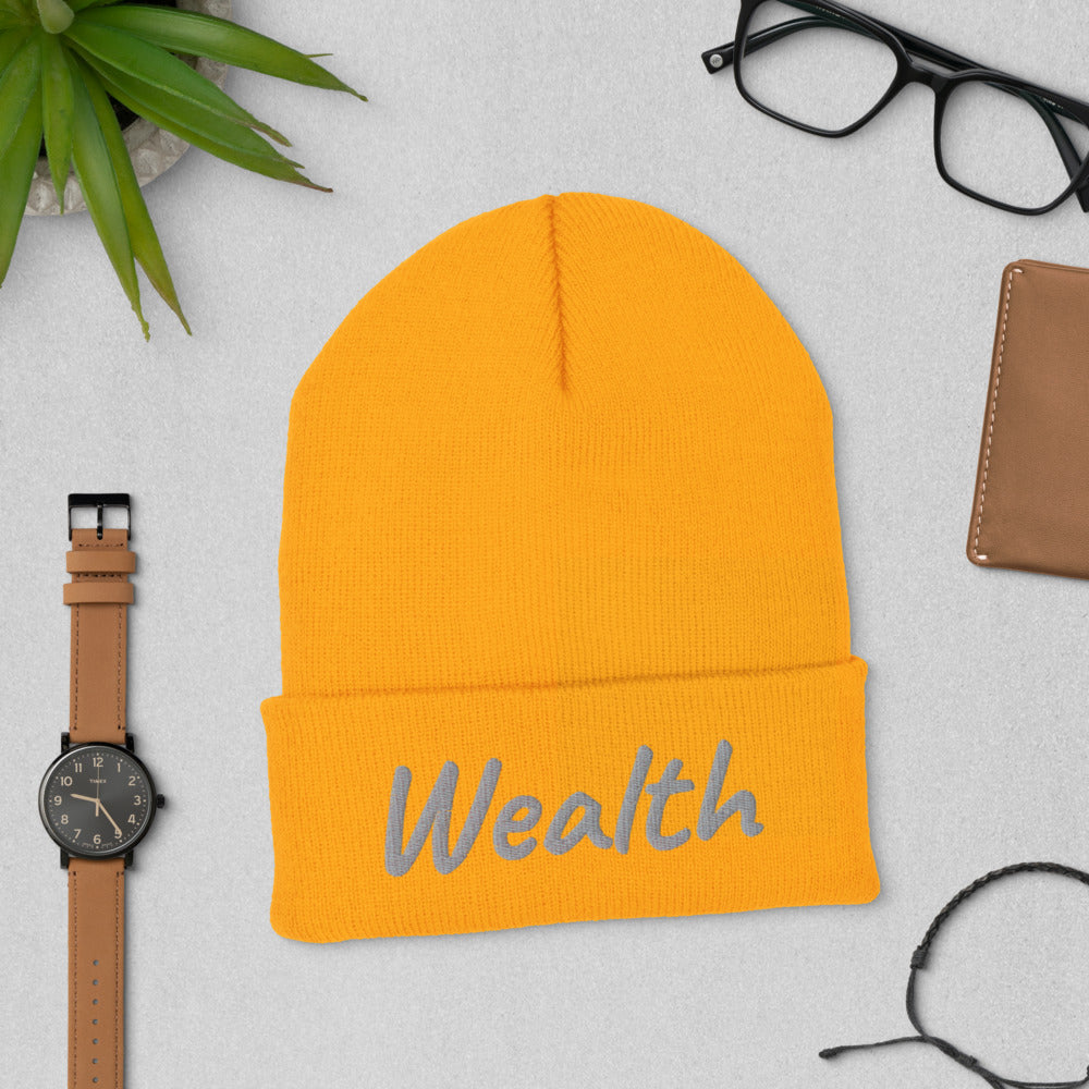 Wealth In Silver Embroidery on Cuffed Beanie