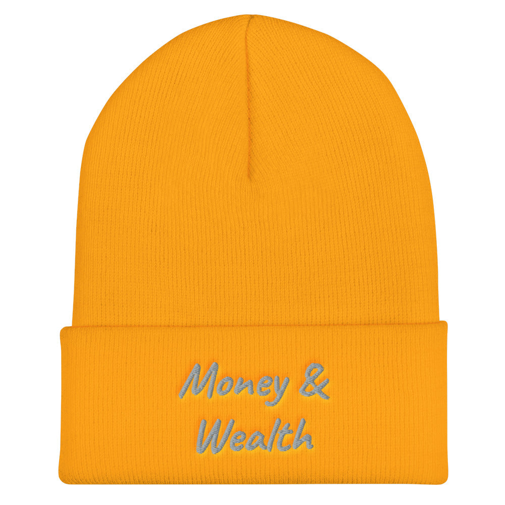 Money & Wealth In Silver Embroidery on Cuffed Beanie