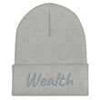 Wealth In Silver Embroidery on Cuffed Beanie