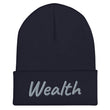 Wealth In Silver Embroidery on Cuffed Beanie