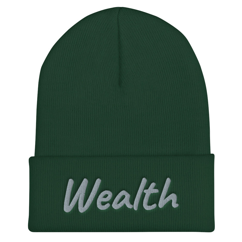 Wealth In Silver Embroidery on Cuffed Beanie