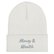 Money & Wealth In Silver Embroidery on Cuffed Beanie