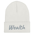 Wealth In Silver Embroidery on Cuffed Beanie