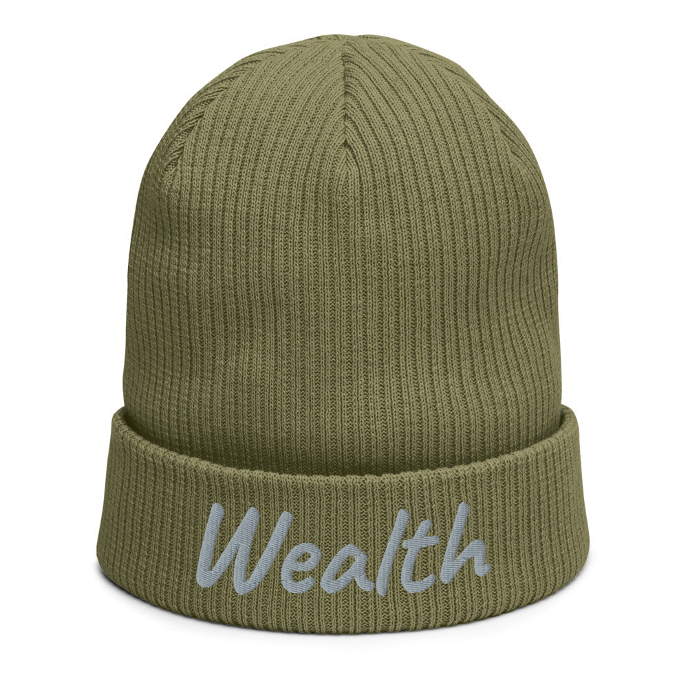 Wealth In Silver Embroidery on Organic Beanie