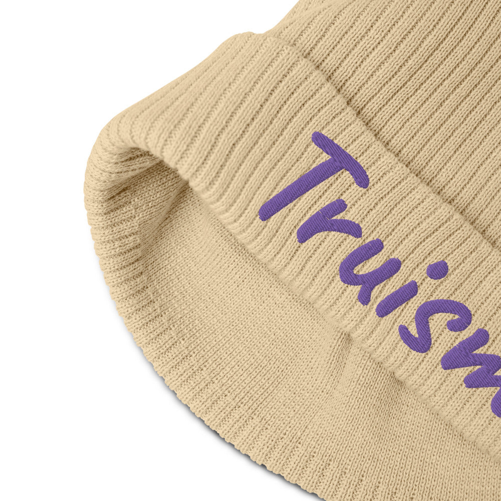 Truism In Amethyst Embroidery on Organic Beanie