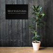 5813 Ventures Logo In Pearl on Premium Luster Photo Paper Poster