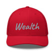 Wealth In Silver Embroidery on Retro Trucker Hat