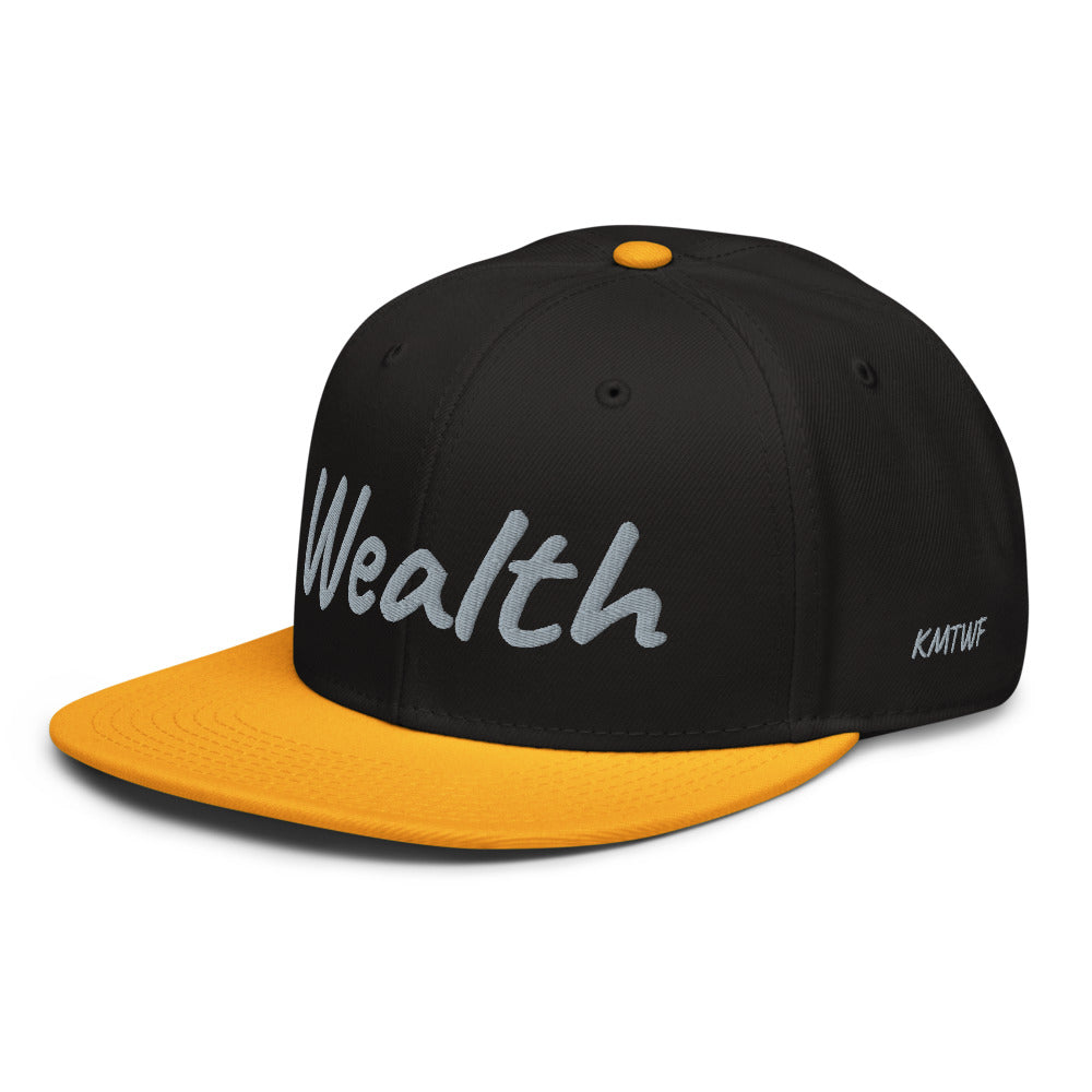 Wealth In Silver Embroidery on Snapback Cap