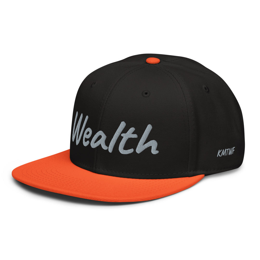 Wealth In Silver Embroidery on Snapback Cap