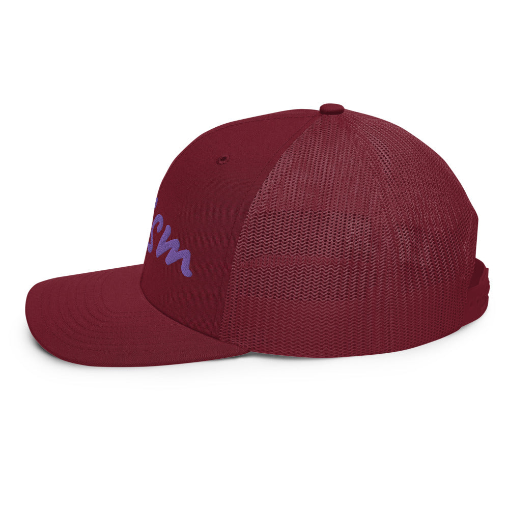 Truism In Amethyst Embroidery on Snapback Trucker Hat