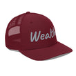 Wealth In Silver Embroidery on Snapback Trucker Hat